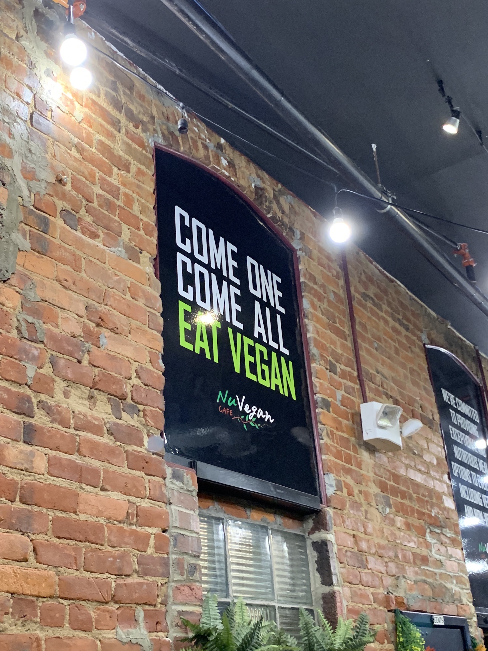 Vegetarian Travel Guide NuVegan Cafe Richmond Va